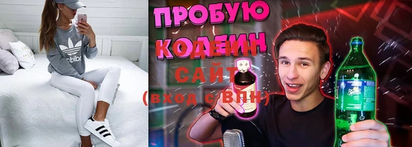 мдпв Карпинск