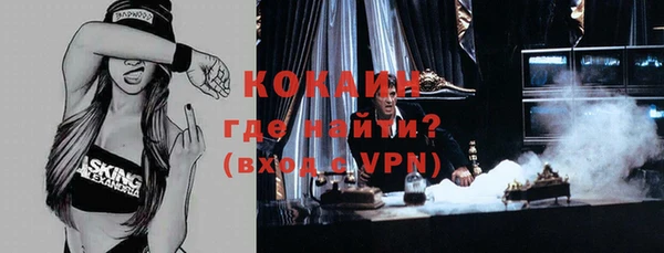 мдпв Карпинск