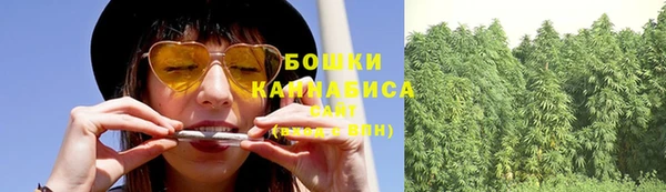 мдпв Карпинск