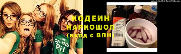 мдпв Карпинск