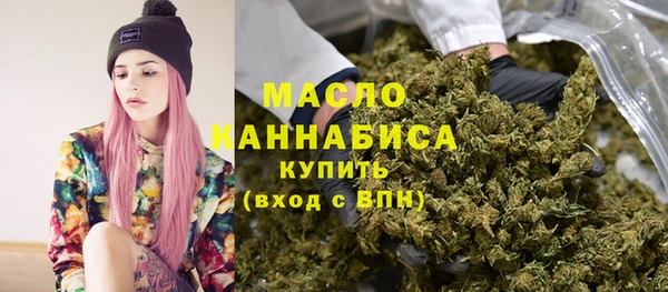 мдпв Карпинск
