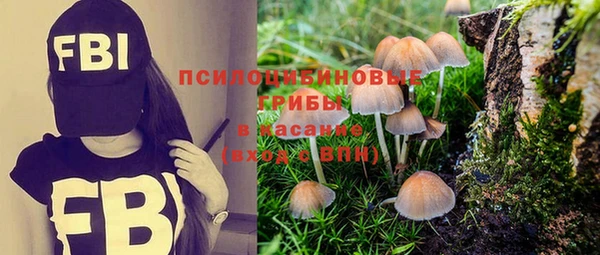 бошки Касимов