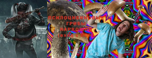 бошки Касимов