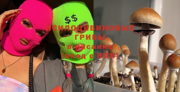 бошки Касимов