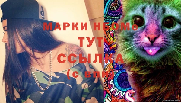 мдпв Карпинск