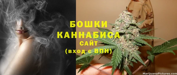 мдпв Карпинск