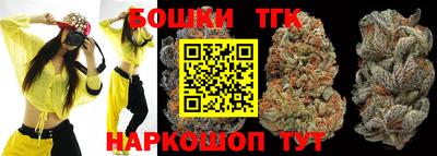 спиды Новодвинск