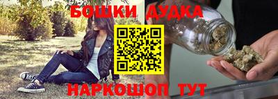 спиды Новодвинск