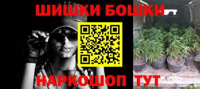 соль ск Новозыбков