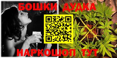 спиды Новодвинск